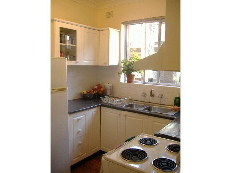 23  Palace Street, Ashfield NSW 2131