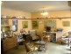 115  Alt Street, Ashfield NSW 2131