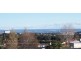29 Newland Street, Bondi Junction NSW 2022