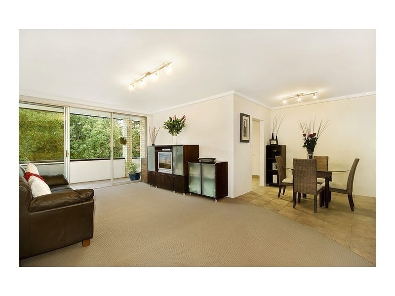 41 Ocean Street, Bondi NSW 2026