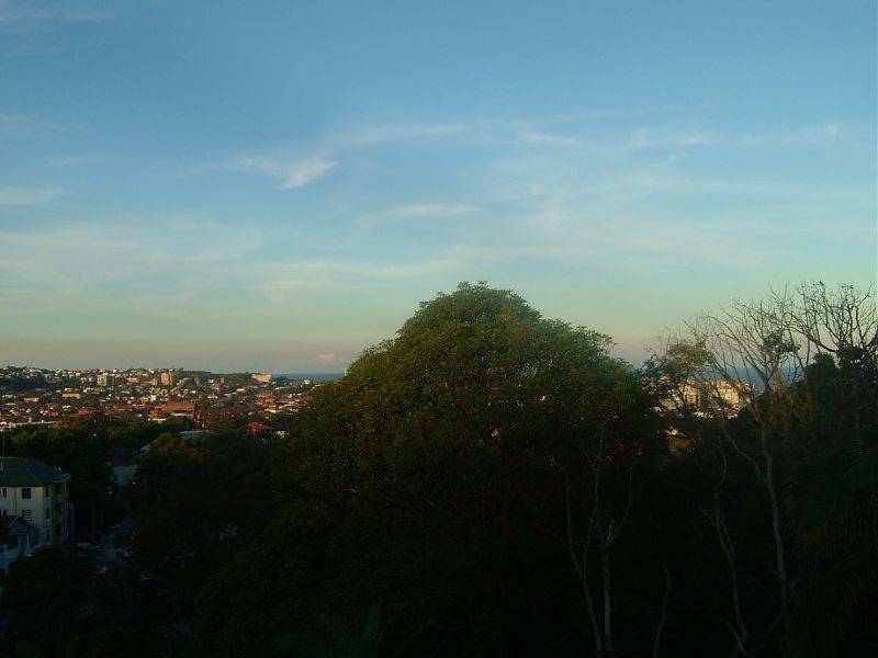 2 Penkivil Street, Bondi NSW 2026