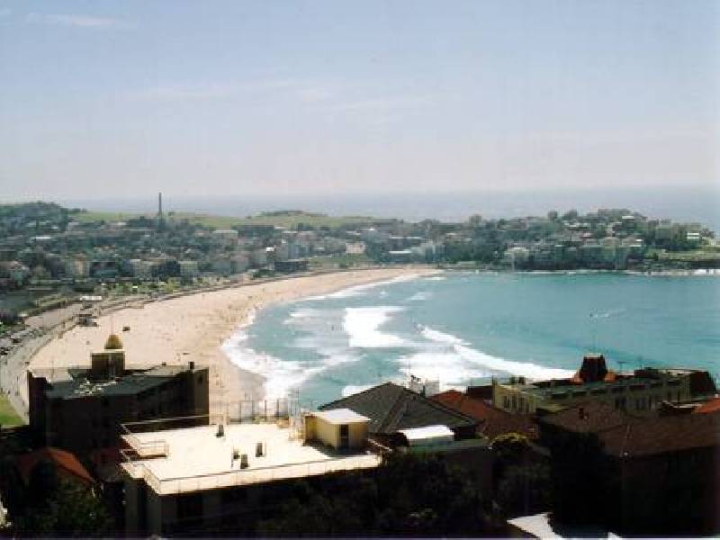 315 Bondi Road, Bondi NSW 2026