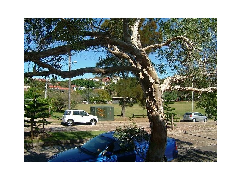 22  Warners Avenue, North Bondi NSW 2026