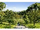 2/212  Victoria Rd, Bellevue Hill NSW 2023