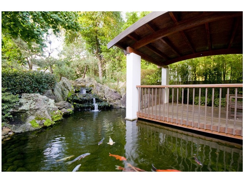 43/51 William Street, Double Bay NSW 2028