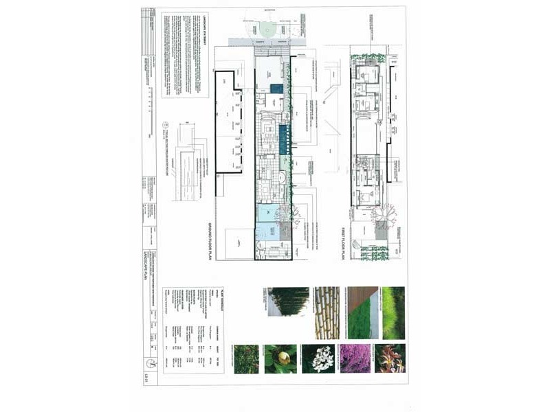 51 Balfour Road, Rose Bay NSW 2029