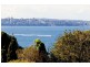 29 Olola Avenue, Vaucluse NSW 2030