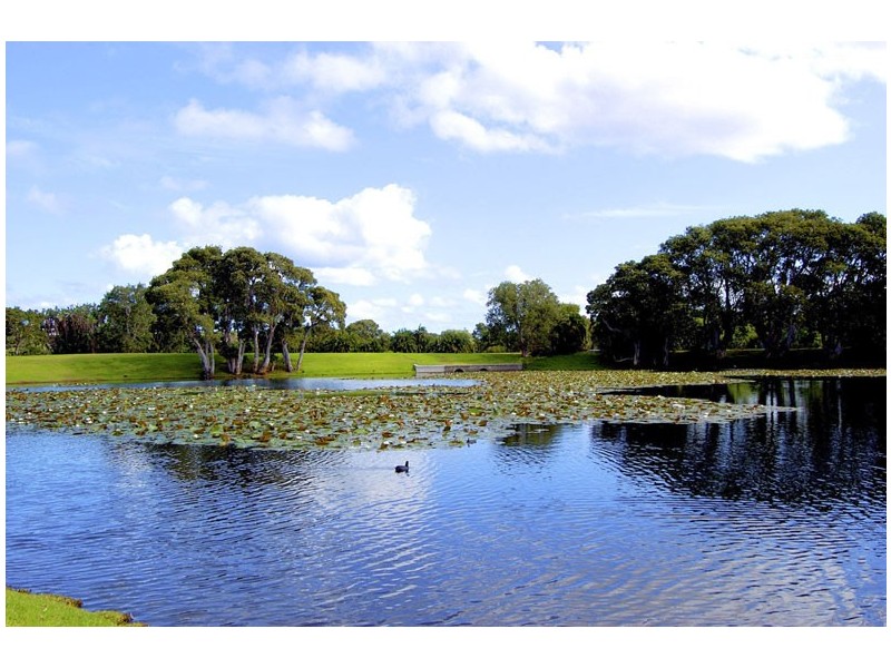 7/89-91 Dangar Street, Randwick NSW 2031