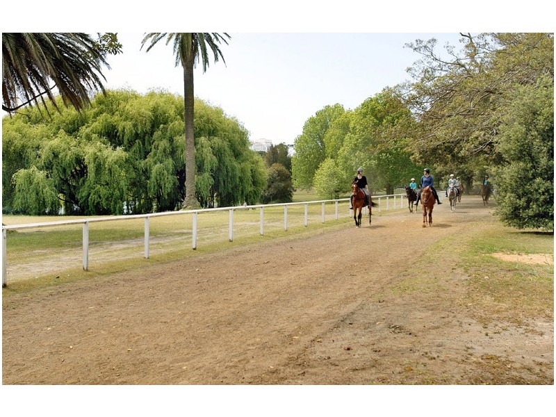 43 Jersey Road, Woollahra NSW 2025