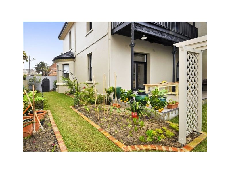 97 Avoca Street, Randwick NSW 2031