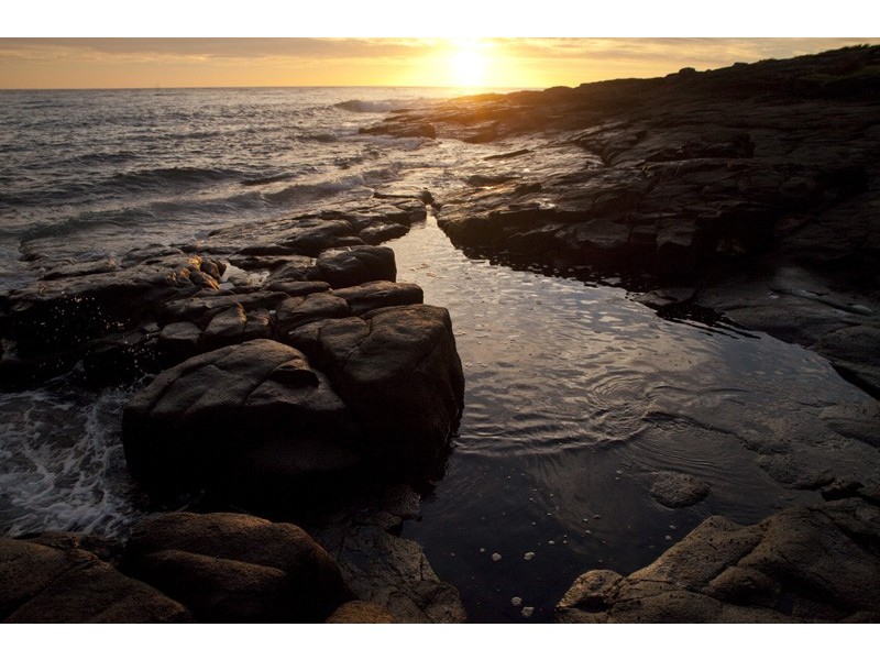 41 Harrington Cres, Bawley Point NSW 2539