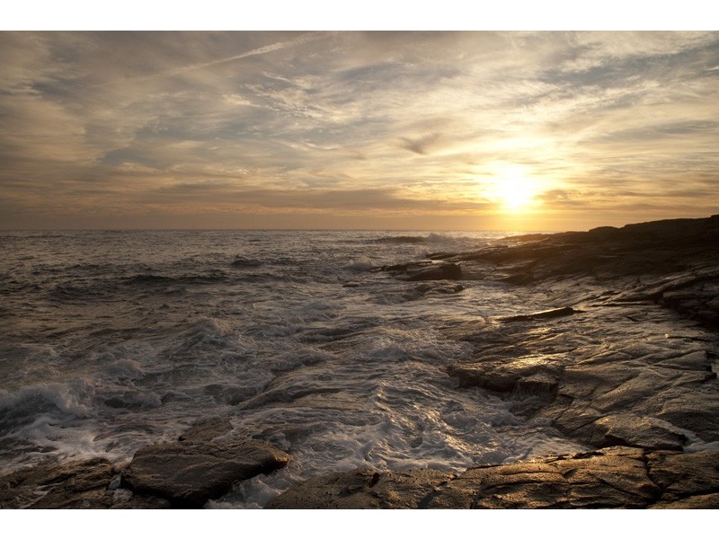 41 Harrington Cres, Bawley Point NSW 2539