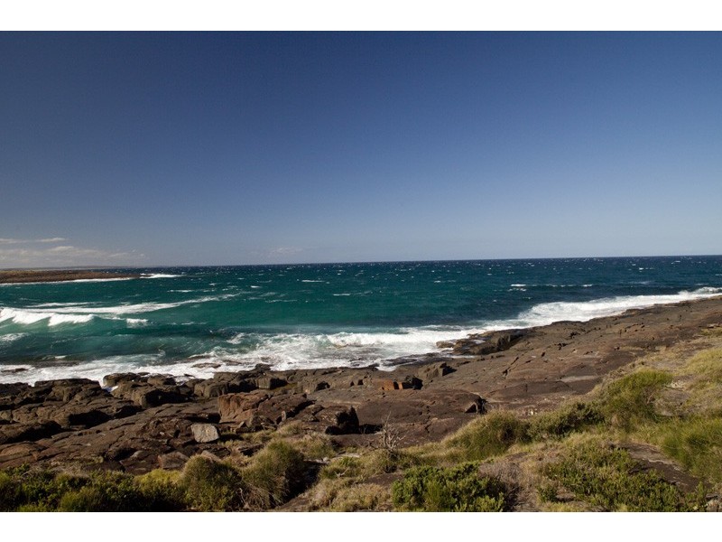 41 Harrington Cres, Bawley Point NSW 2539