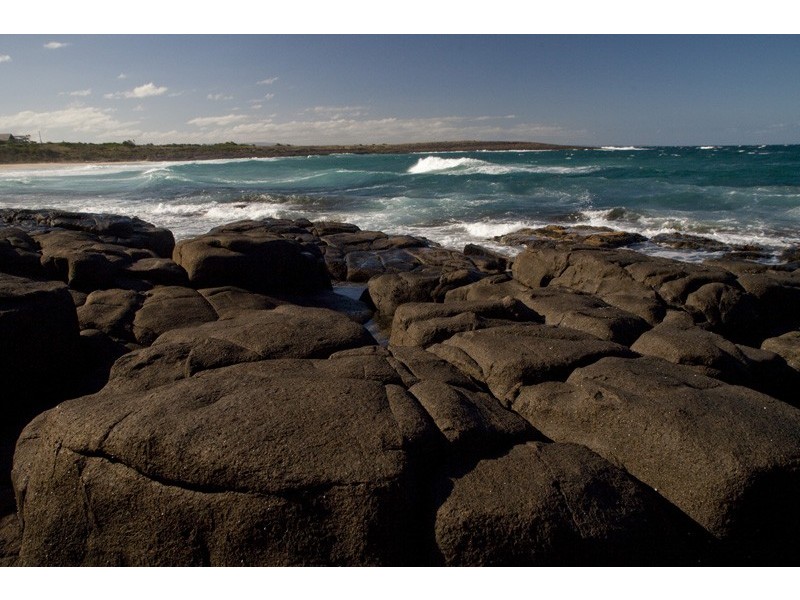 41 Harrington Cres, Bawley Point NSW 2539