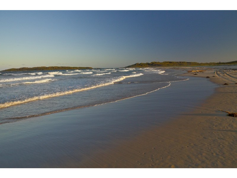 41 Harrington Cres, Bawley Point NSW 2539