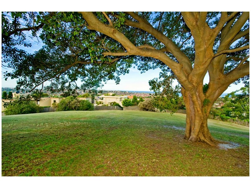 1/55 Birriga Road, Bellevue Hill NSW 2023