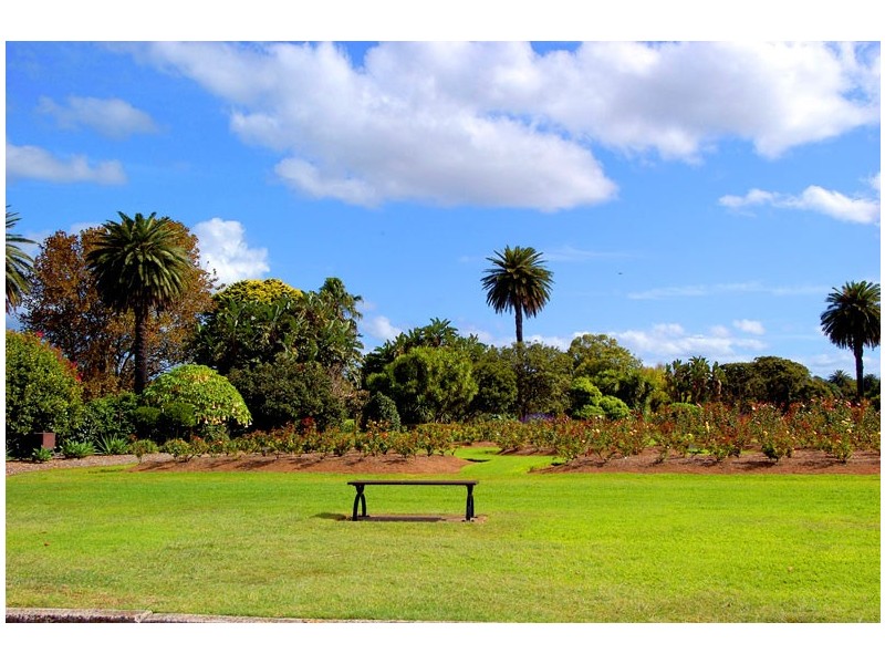 12 Birrell Street, Bondi Junction NSW 2022