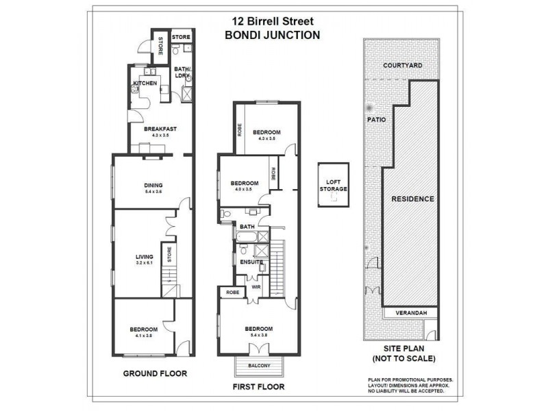 12 Birrell Street, Bondi Junction NSW 2022