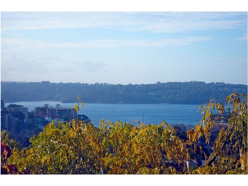 39 Underwood Street, Paddington NSW 2021