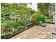 1/29-31 Waratah Street, Rushcutters Bay NSW 2011