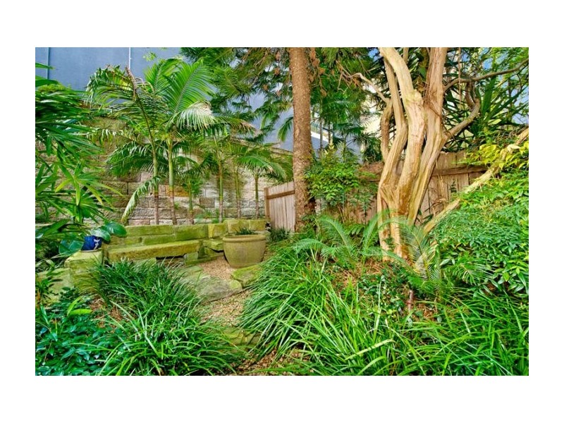 79 Surrey Street, Paddington NSW 2021