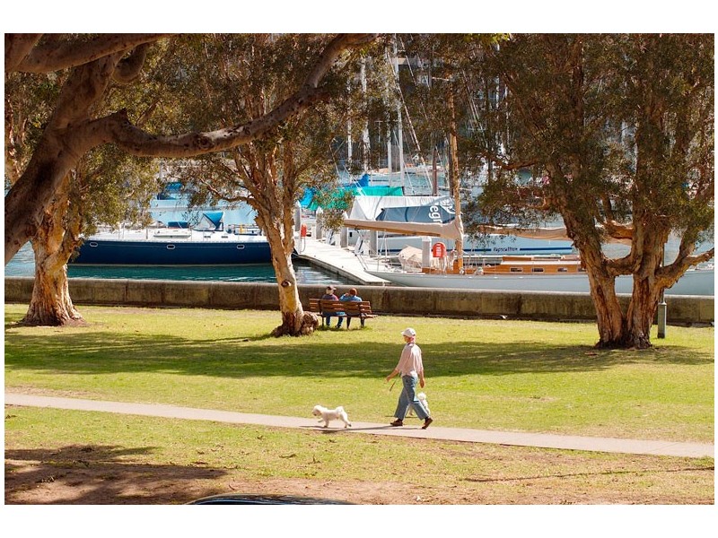 7/33 Waratah Street, Rushcutters Bay NSW 2011
