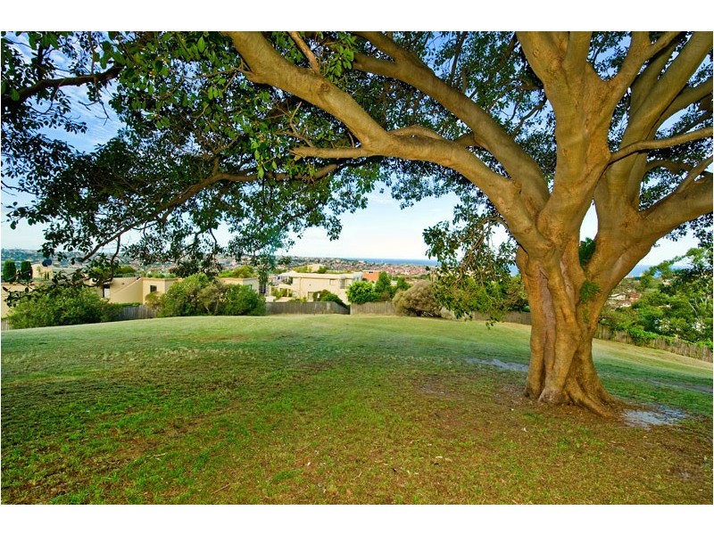 19/206 Victoria Road, Bellevue Hill NSW 2023