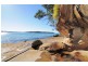 25 Crammond Ave, Bundeena NSW 2230