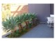 Suite 8/409 New South Head Road, Double Bay NSW 2028