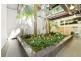 Suite 8/409 New South Head Road, Double Bay NSW 2028