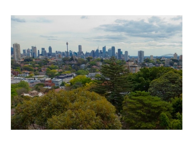 24 Bulkara Road, Bellevue Hill NSW 2023