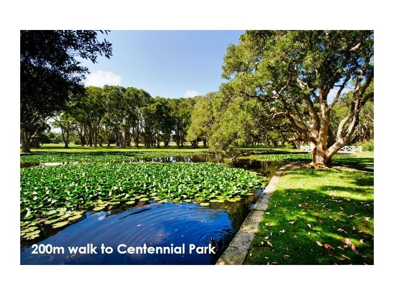 6/30-38 Cook Road, Centennial Park NSW 2021