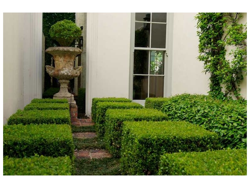 3 Wellington Street, Woollahra NSW 2025