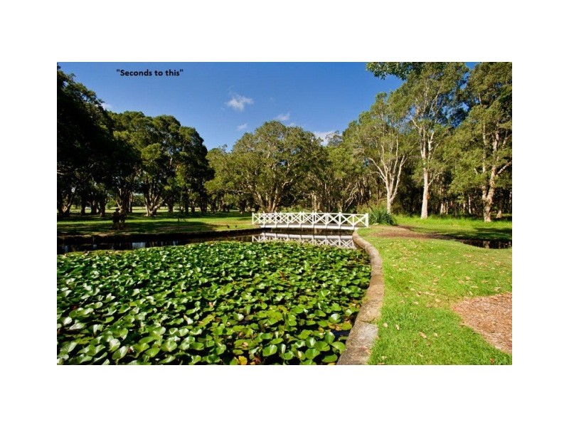 1 Govett Street, Randwick NSW 2031