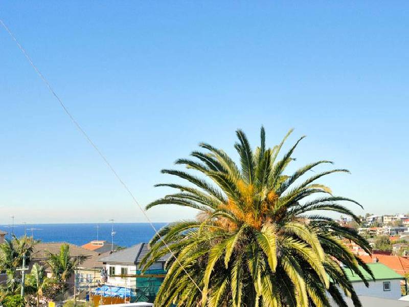 23 READ STREET, Bronte NSW 2024