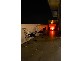- ALBA PENTHOUSE ST MARGARETS, Surry Hills NSW 2010