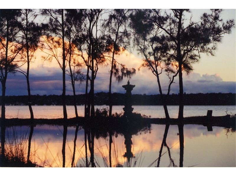 98  STINGAREE POINT DRIVE, Dora Creek NSW 2264