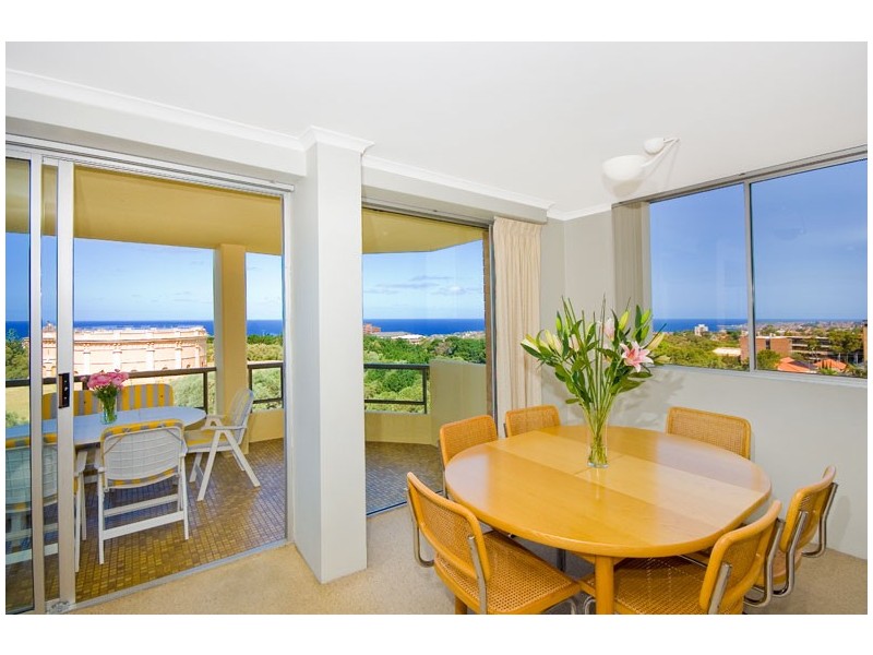 31/37  Paul Street, Bondi Junction NSW 2022