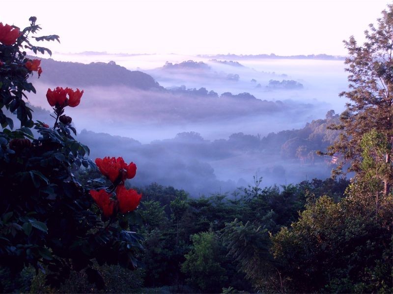 1  Arthur Road, Dorroughby NSW 2480