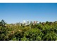 305 EDGECLIFF ROAD, Woollahra NSW 2025