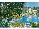 12/528  New South Head Road, Double Bay NSW 2028