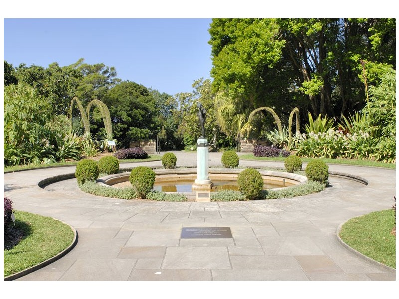 3/185a  Bourke Street, Darlinghurst NSW 2010