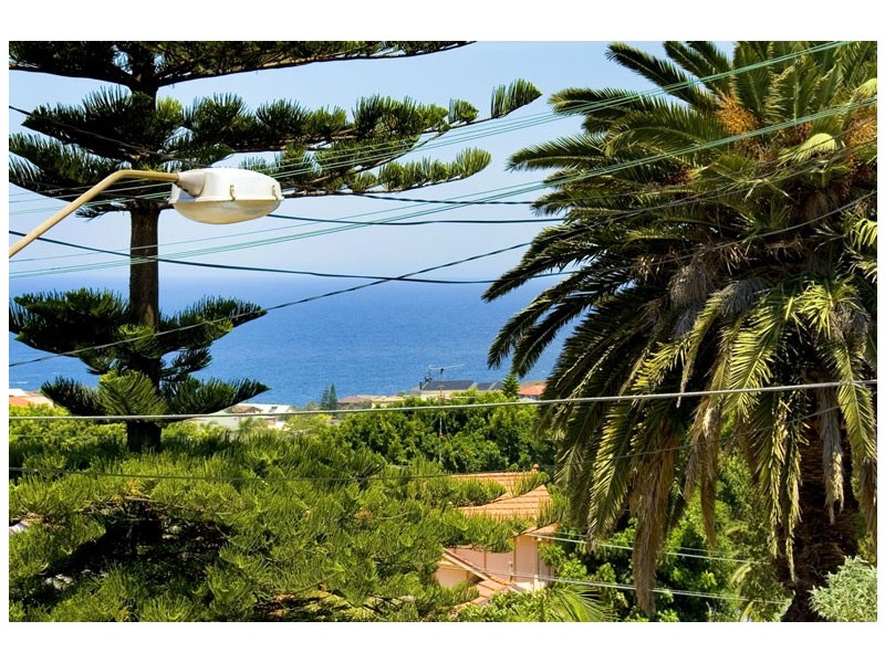 3/78 MACPHERSON STREET, Bronte NSW 2024