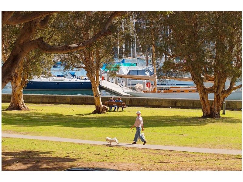 10/29-31  Waratah Street, Rushcutters Bay NSW 2011