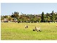 59 Lawson Street, Queens Park NSW 2022