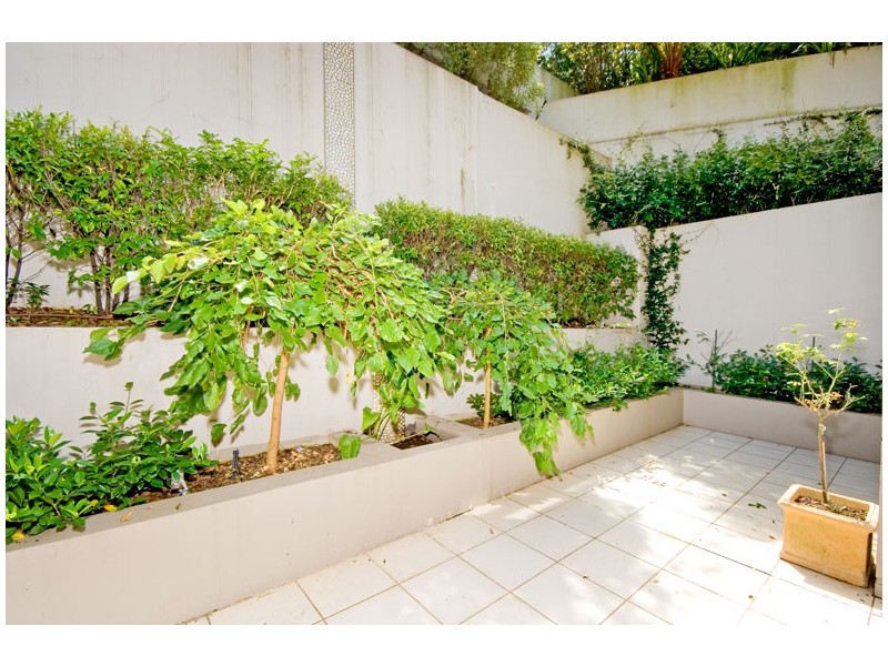 106/53 CARLISLE STREET, Rose Bay NSW 2029