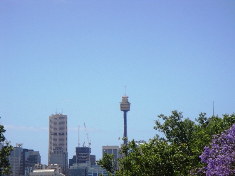 12/417 Glebe Point Road, Glebe NSW 2037