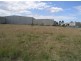 31 Tarlington Place, Smithfield NSW 2164