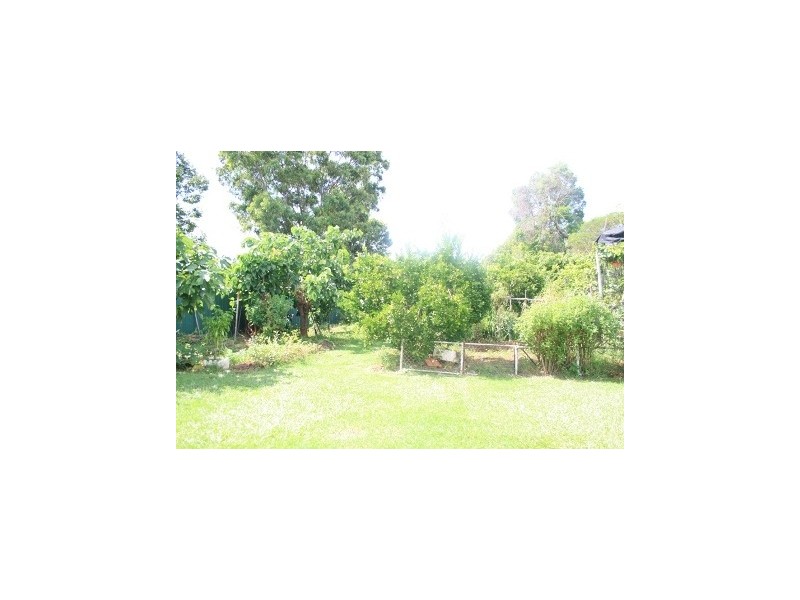 53 Railway Street, Wentworthville NSW 2145