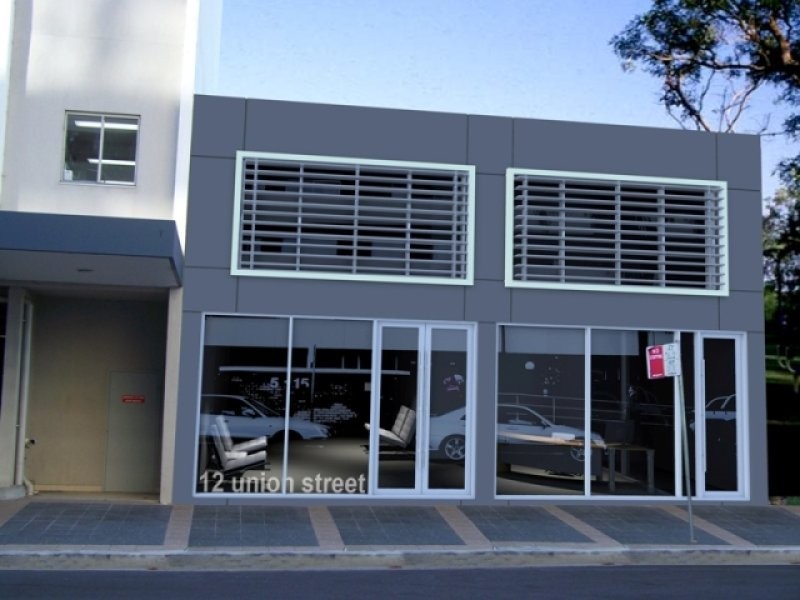 12 Union Street, Parramatta NSW 2150